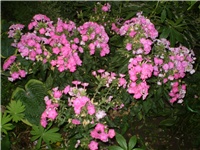 14b29a1f-Picture 6278.jpg